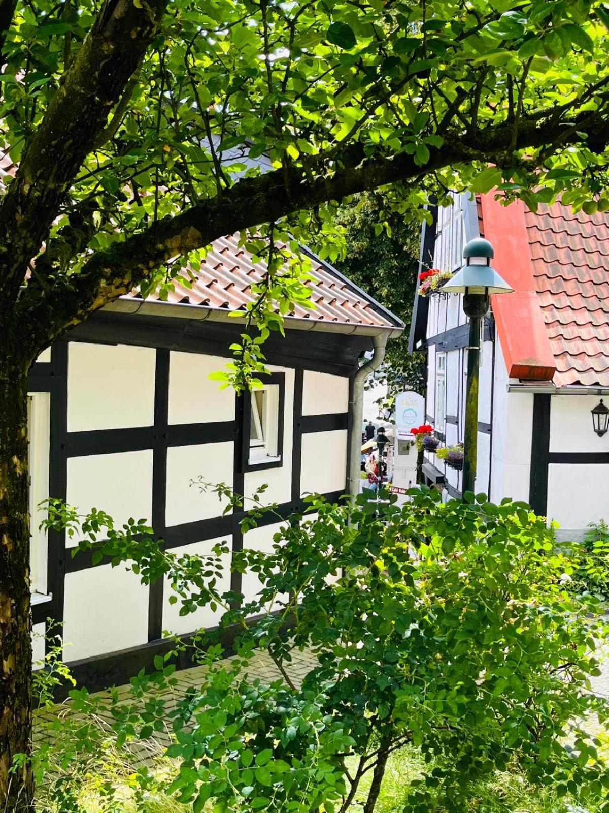 Lateinschule Apartment *