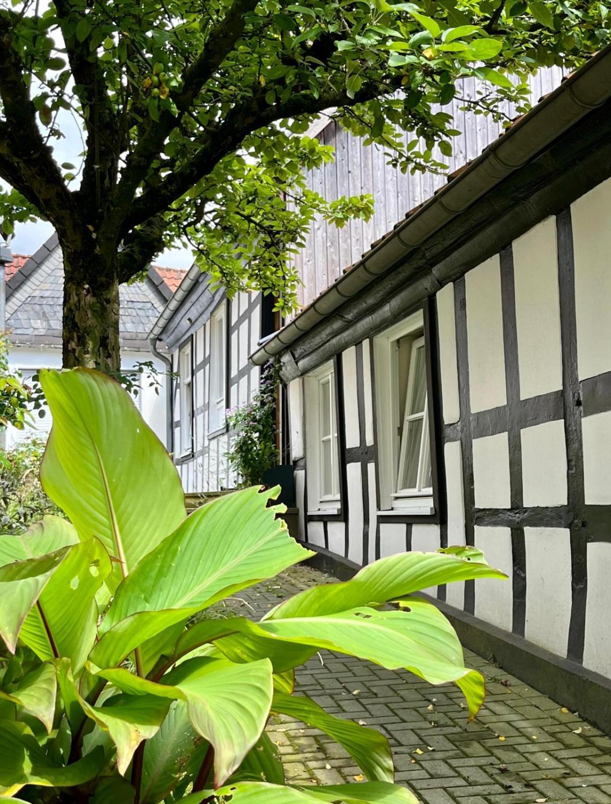 Lateinschule Apartment Tecklenburg